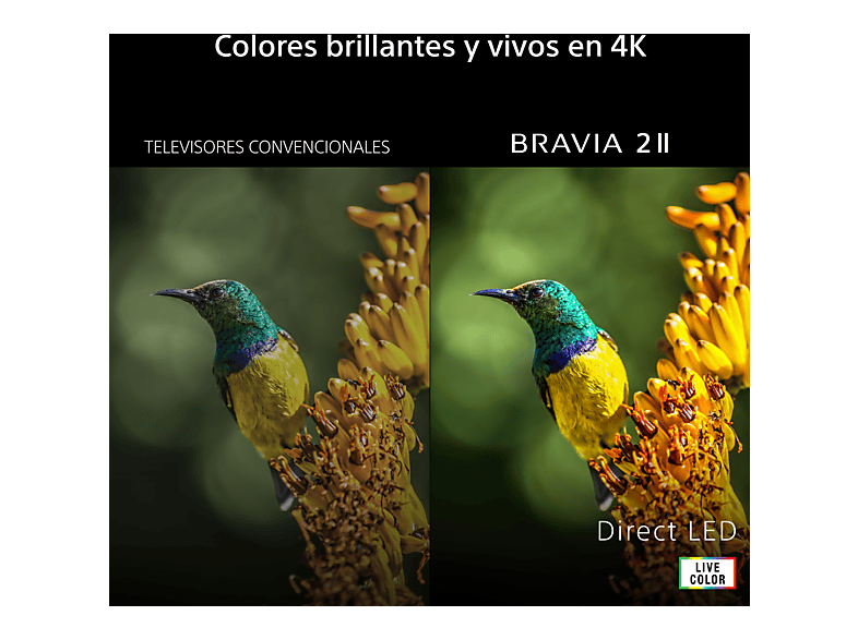 TV LED 55" - Sony BRAVIA 2 II, Direct LED, 4K HDR Processor X1, Smart TV (Google TV), TDT HD, DVB-T2, Dolby Atmos, Chromecast, Eco, 55S25M2 — foto 7
